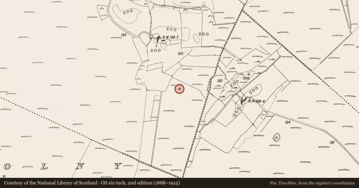 Ordnance Survey six-inch map, 2nd edition (1888–1915) covering the location of Road - class 2 togher, Tumbeagh, County Offaly, with a pin at the register's coordinates