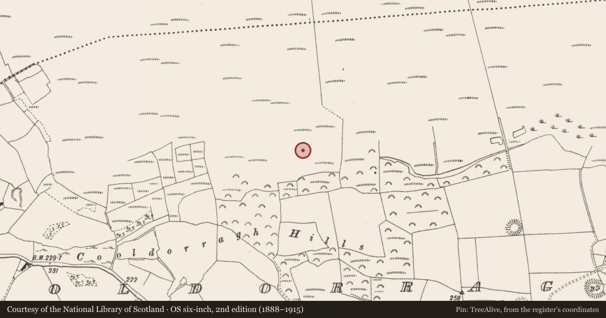 Ordnance Survey six-inch map, 2nd edition (1888–1915) covering the location of Structure - peatland, Cooldorragh, County Offaly, with a pin at the register's coordinates