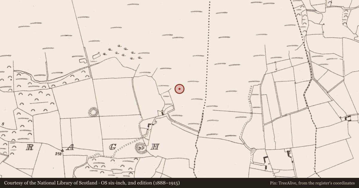 Ordnance Survey six-inch map, 2nd edition (1888–1915) covering the location of Post row - peatland, Cooldorragh, County Offaly, with a pin at the register's coordinates