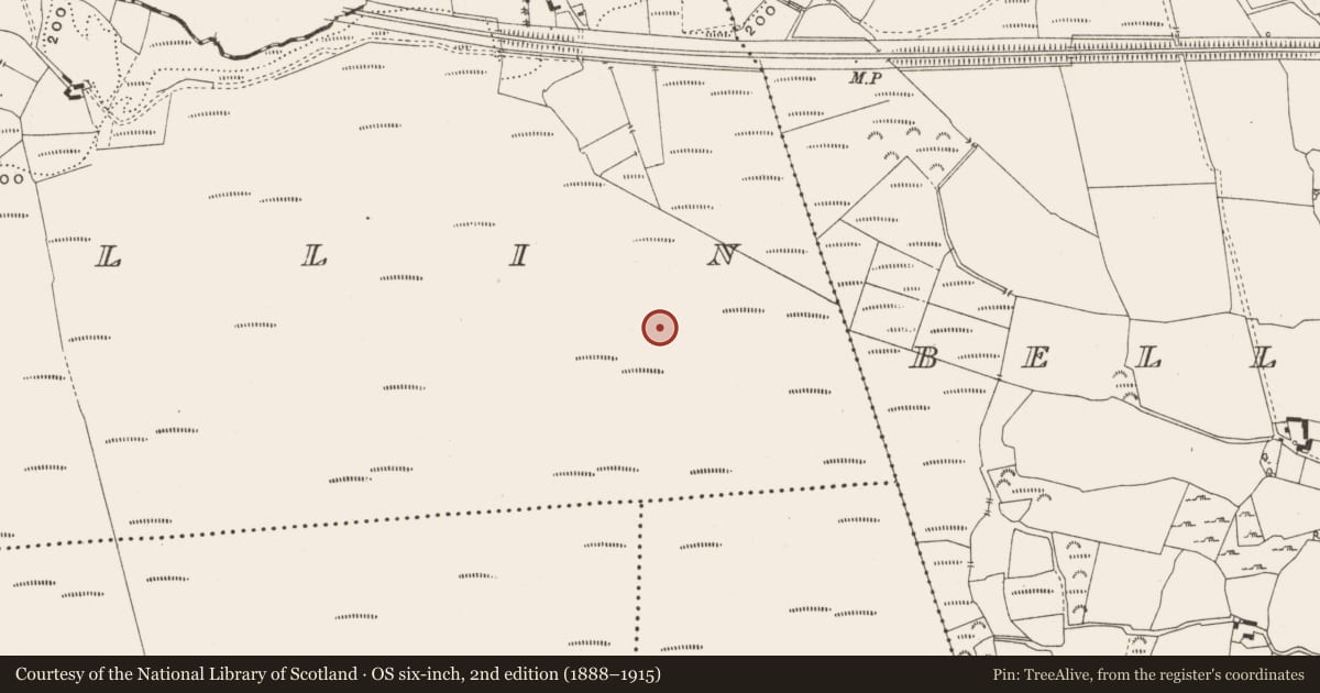 Ordnance Survey six-inch map, 2nd edition (1888–1915) covering the location of Road - class 1 togher, Bellair Or Ballyard, Corracullin, County Offaly, with a pin at the register's coordinates