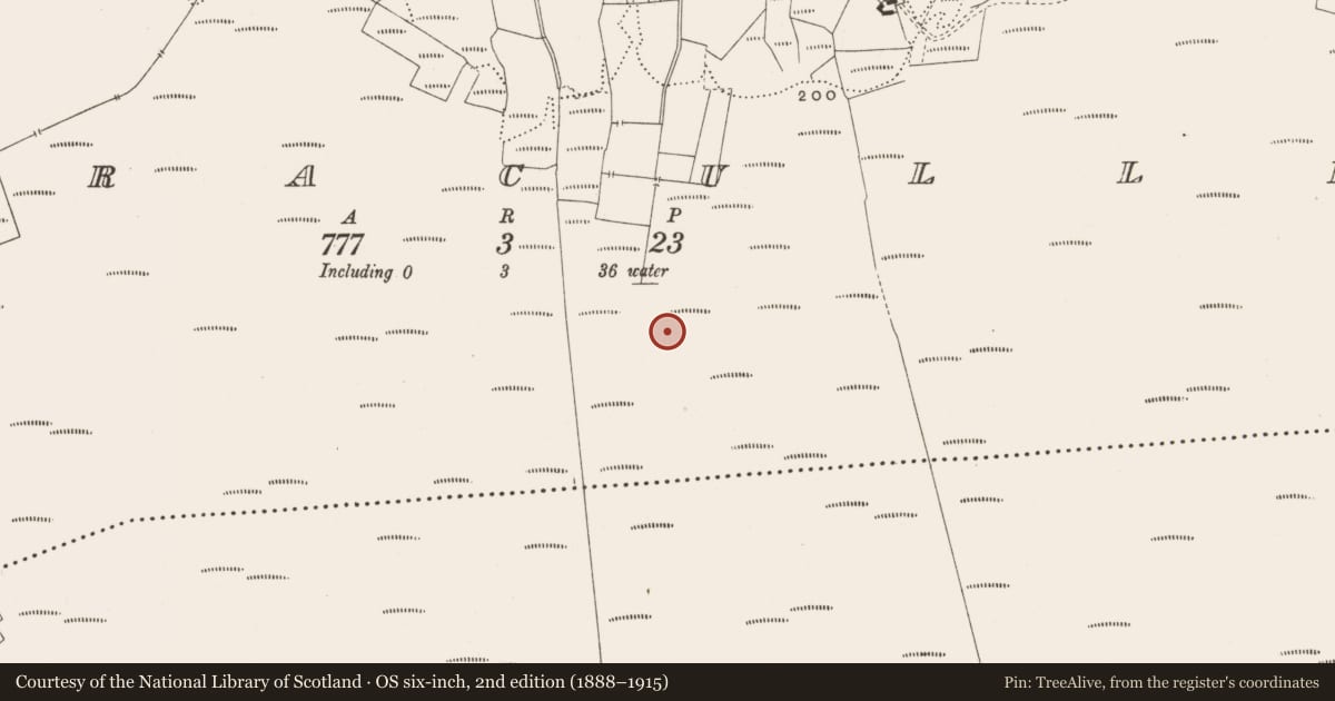 Ordnance Survey six-inch map, 2nd edition (1888–1915) covering the location of Structure - peatland, Corracullin, County Offaly, with a pin at the register's coordinates
