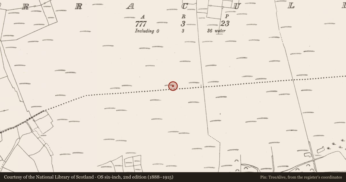 Ordnance Survey six-inch map, 2nd edition (1888–1915) covering the location of Road - class 3 togher, Corracullin, County Offaly, with a pin at the register's coordinates