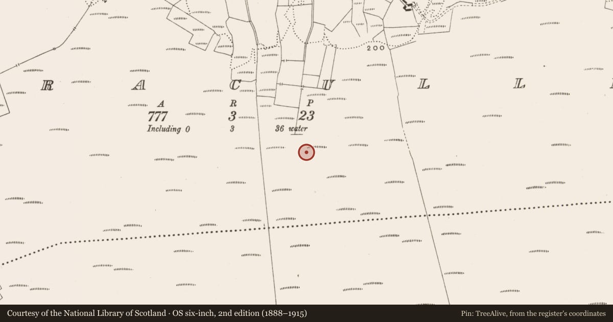 Ordnance Survey six-inch map, 2nd edition (1888–1915) covering the location of Structure - peatland, Corracullin, County Offaly, with a pin at the register's coordinates