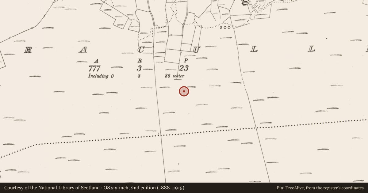 Ordnance Survey six-inch map, 2nd edition (1888–1915) covering the location of Road - class 3 togher, Corracullin, County Offaly, with a pin at the register's coordinates