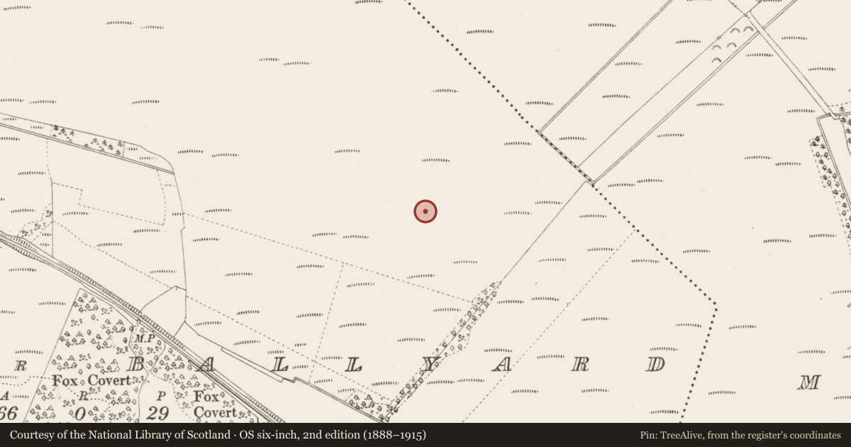 Ordnance Survey six-inch map, 2nd edition (1888–1915) covering the location of Structure - peatland, Bellair Or Ballyard, County Offaly, with a pin at the register's coordinates