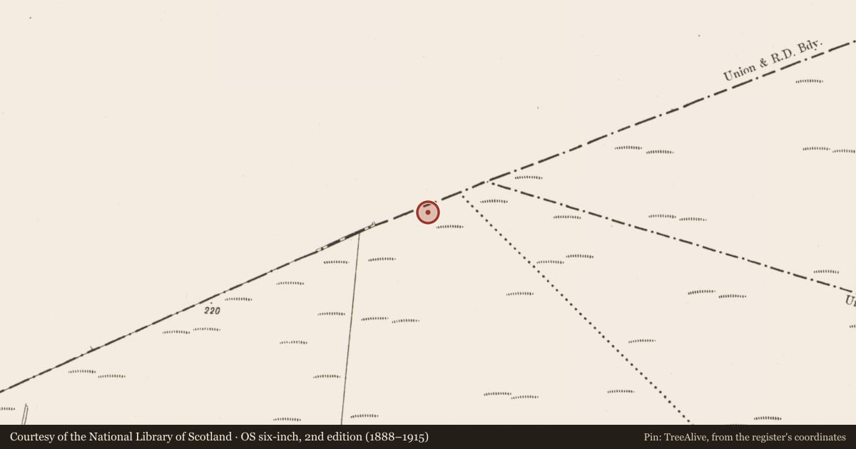 Ordnance Survey six-inch map, 2nd edition (1888–1915) covering the location of Structure - peatland, Bellair Or Ballyard, County Offaly, with a pin at the register's coordinates