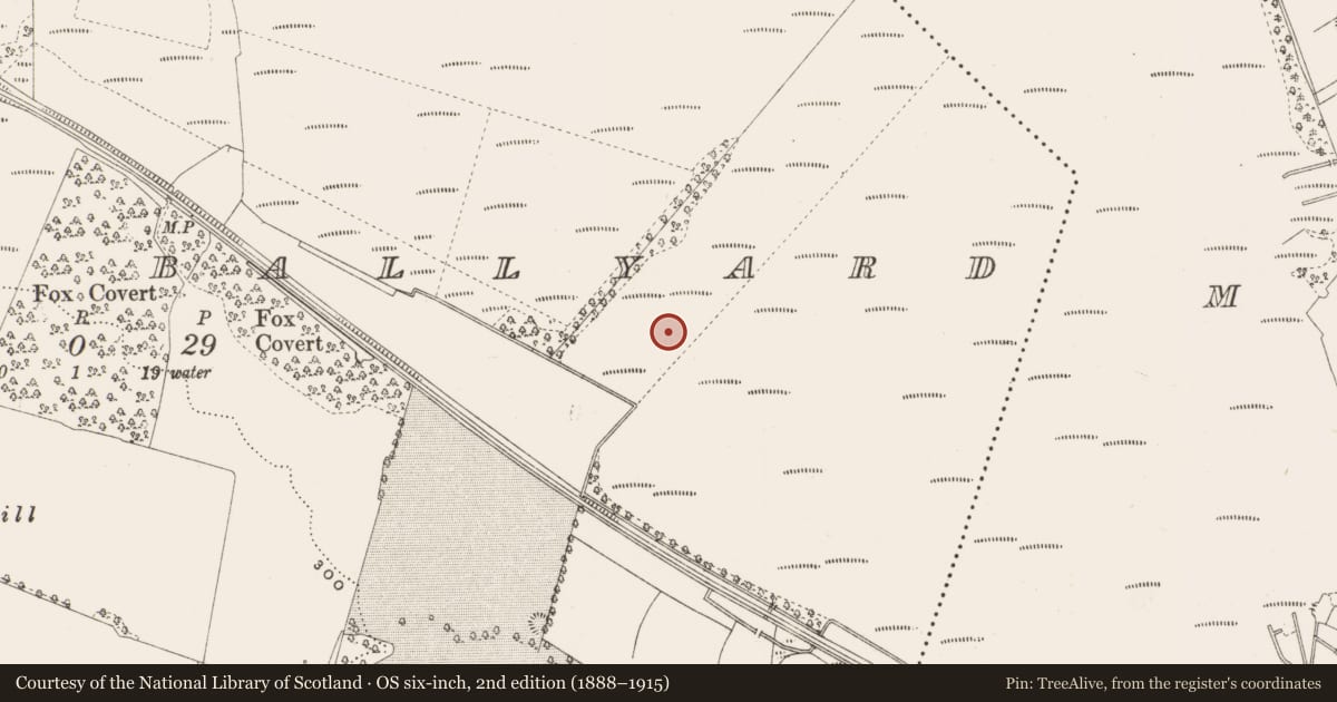 Ordnance Survey six-inch map, 2nd edition (1888–1915) covering the location of Structure - peatland, Bellair Or Ballyard, County Offaly, with a pin at the register's coordinates