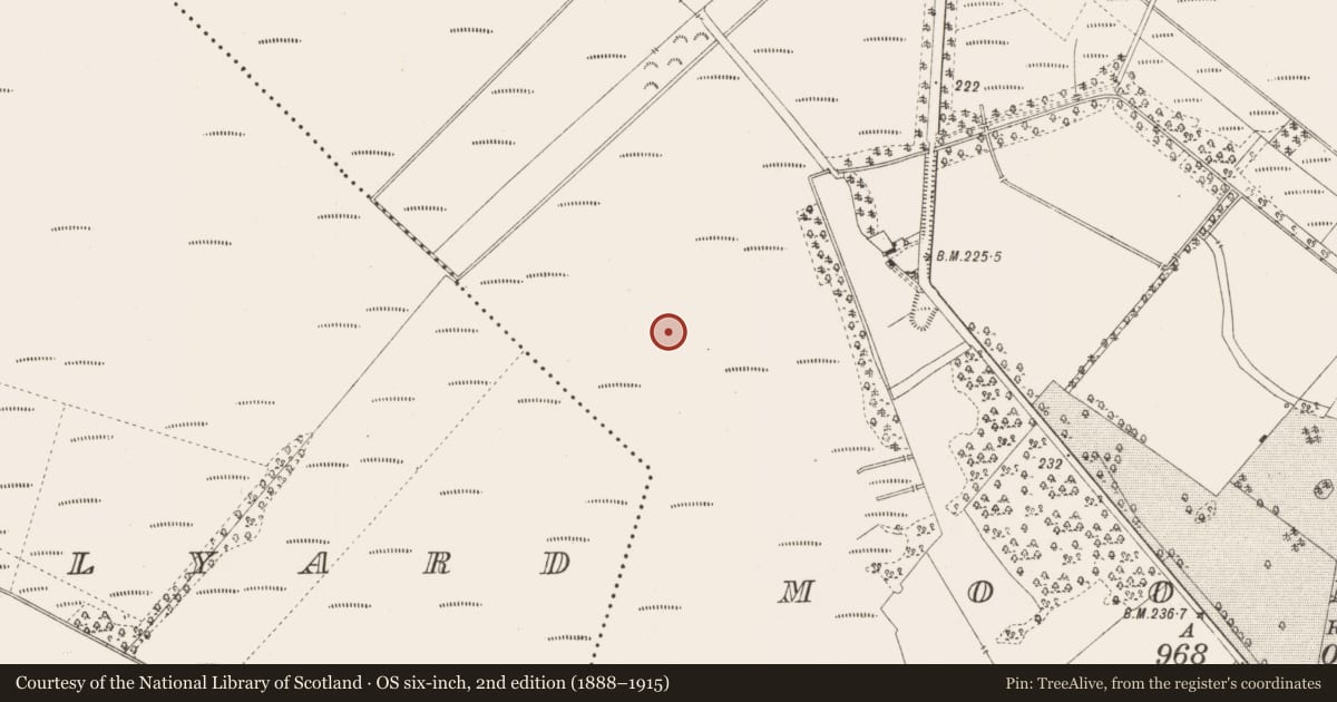Ordnance Survey six-inch map, 2nd edition (1888–1915) covering the location of Structure - peatland, Moorock, County Offaly, with a pin at the register's coordinates