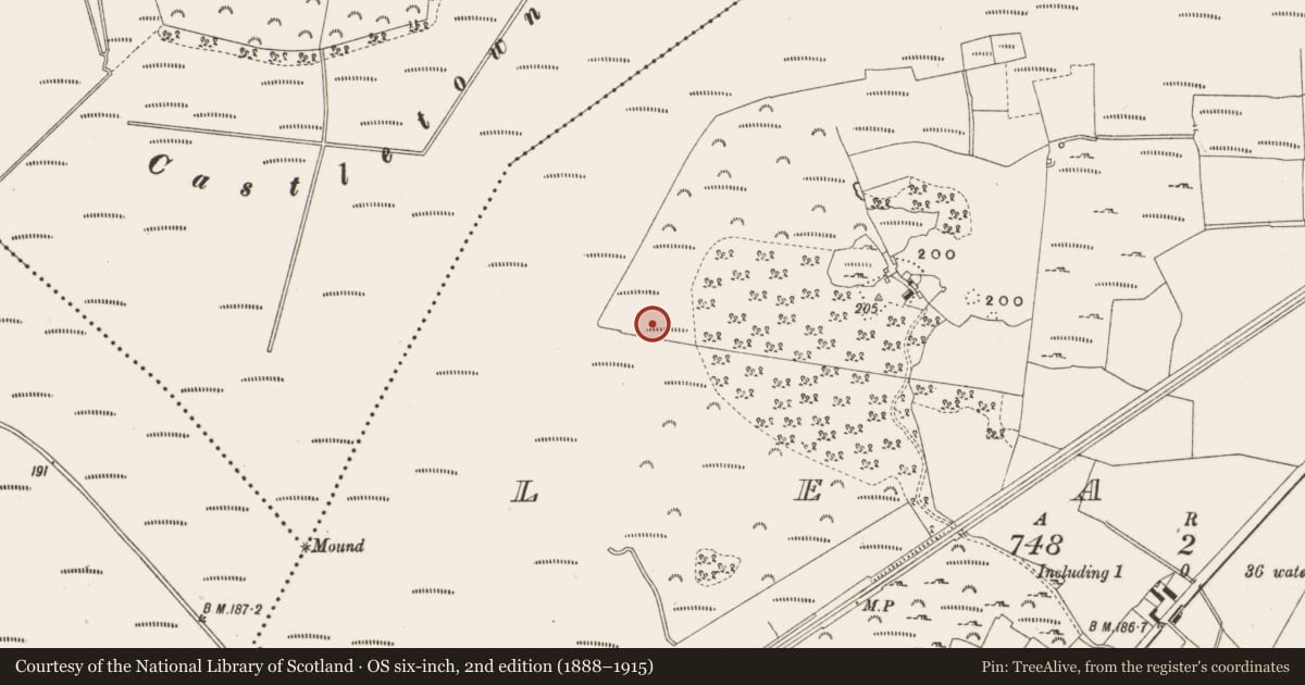 Ordnance Survey six-inch map, 2nd edition (1888–1915) covering the location of Structure - peatland, Leabeg, County Offaly, with a pin at the register's coordinates