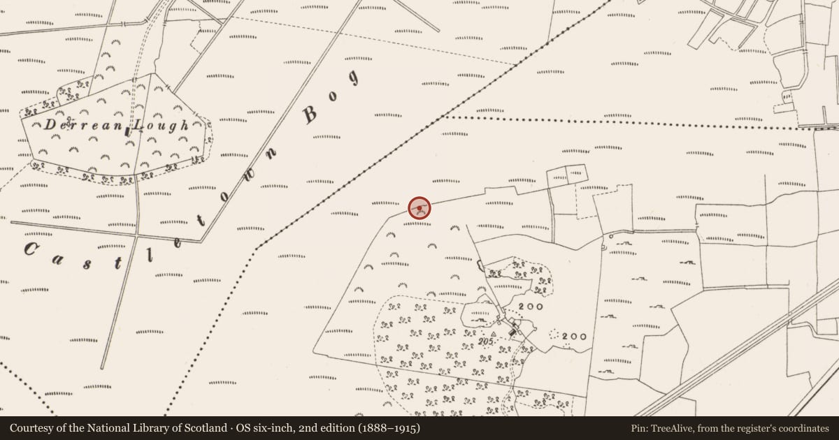 Ordnance Survey six-inch map, 2nd edition (1888–1915) covering the location of Structure - peatland, Leabeg, County Offaly, with a pin at the register's coordinates