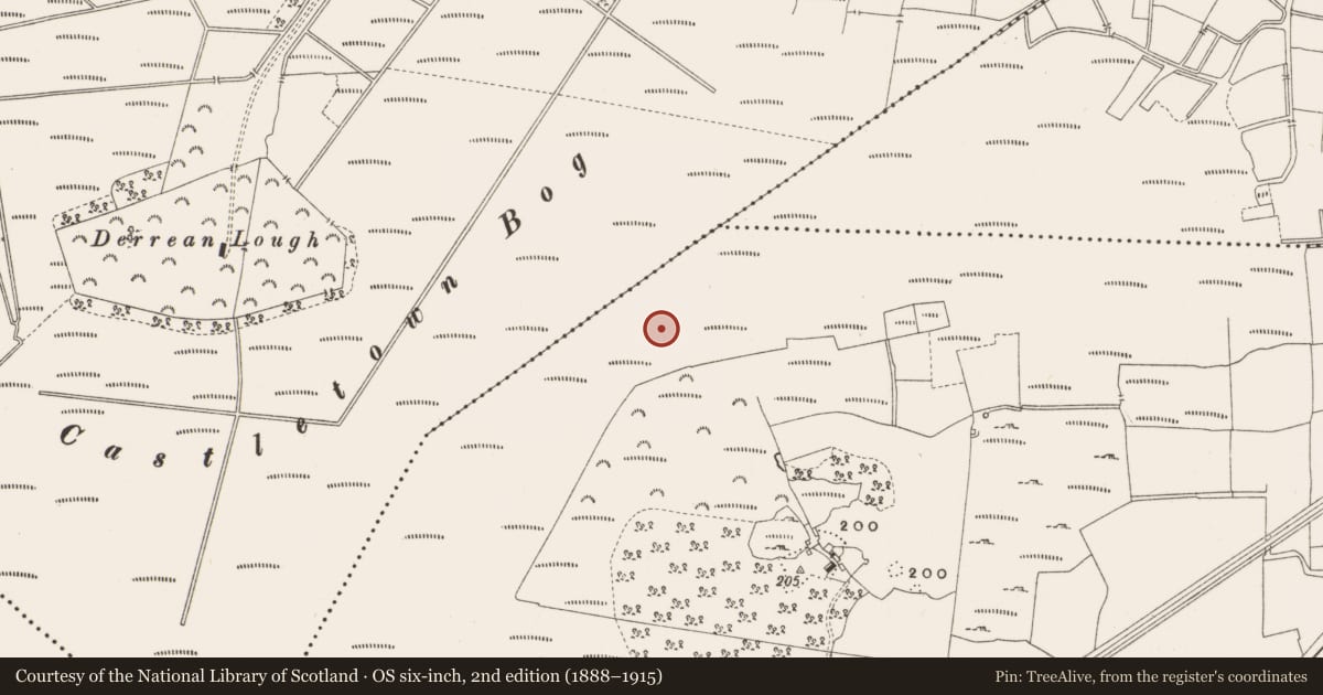Ordnance Survey six-inch map, 2nd edition (1888–1915) covering the location of Structure - peatland, Leabeg, County Offaly, with a pin at the register's coordinates