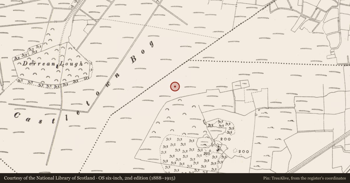 Ordnance Survey six-inch map, 2nd edition (1888–1915) covering the location of Structure - peatland, Leabeg, County Offaly, with a pin at the register's coordinates