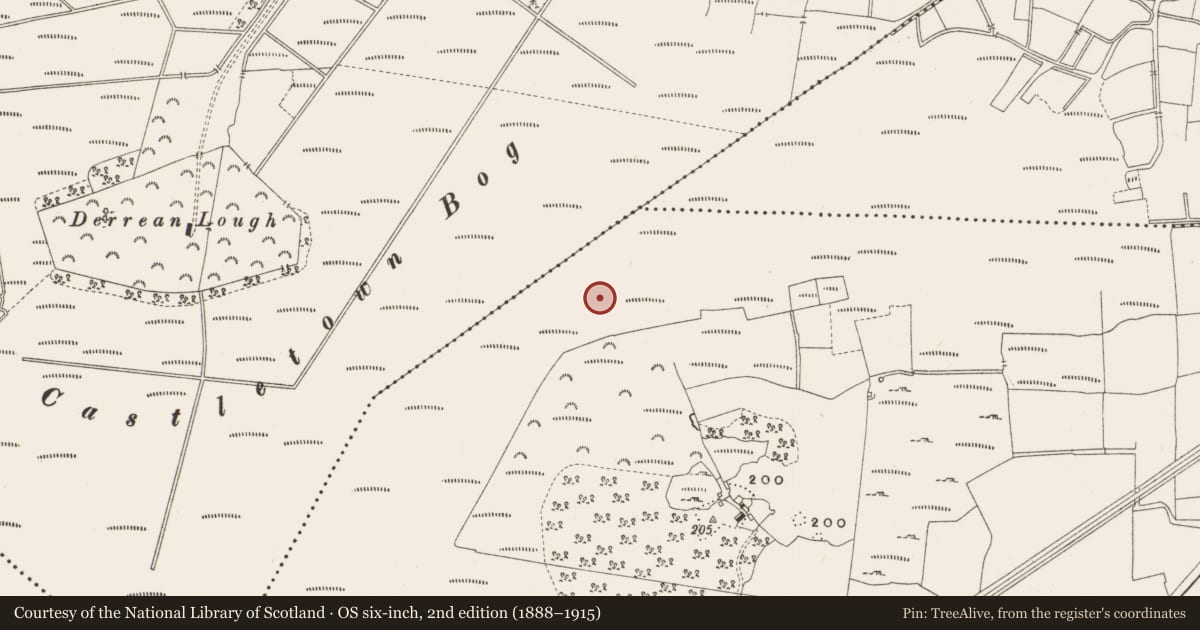 Ordnance Survey six-inch map, 2nd edition (1888–1915) covering the location of Structure - peatland, Leabeg, County Offaly, with a pin at the register's coordinates