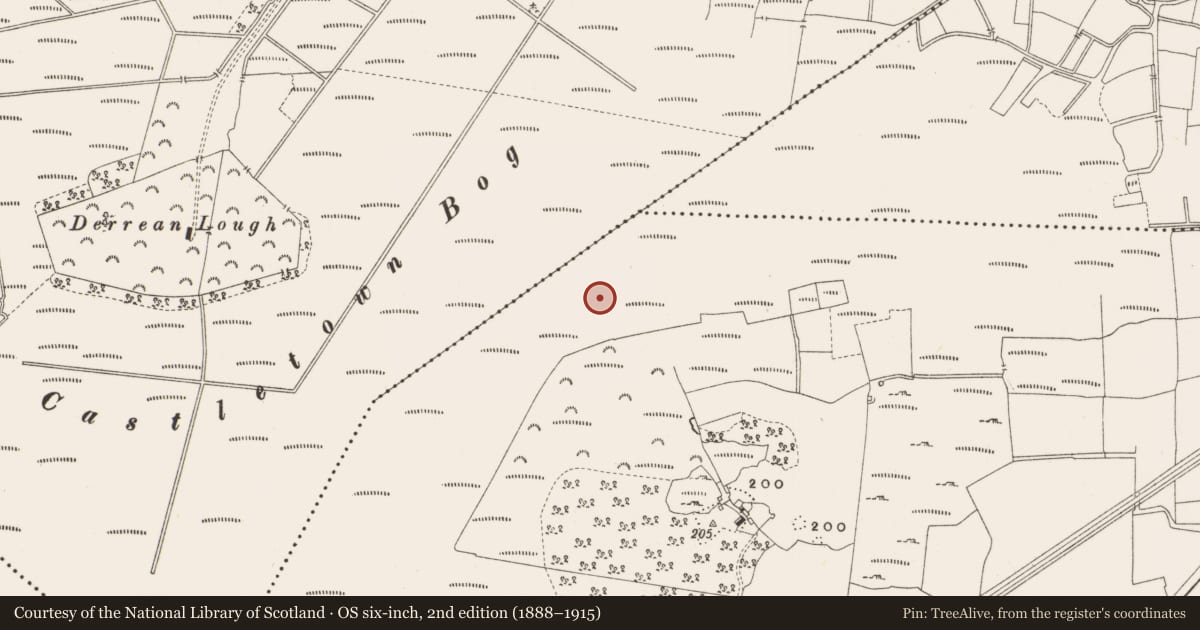 Ordnance Survey six-inch map, 2nd edition (1888–1915) covering the location of Structure - peatland, Leabeg, County Offaly, with a pin at the register's coordinates