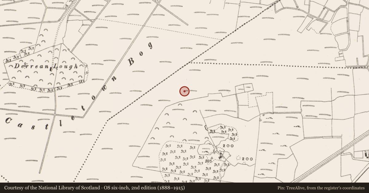Ordnance Survey six-inch map, 2nd edition (1888–1915) covering the location of Structure - peatland, Leabeg, County Offaly, with a pin at the register's coordinates