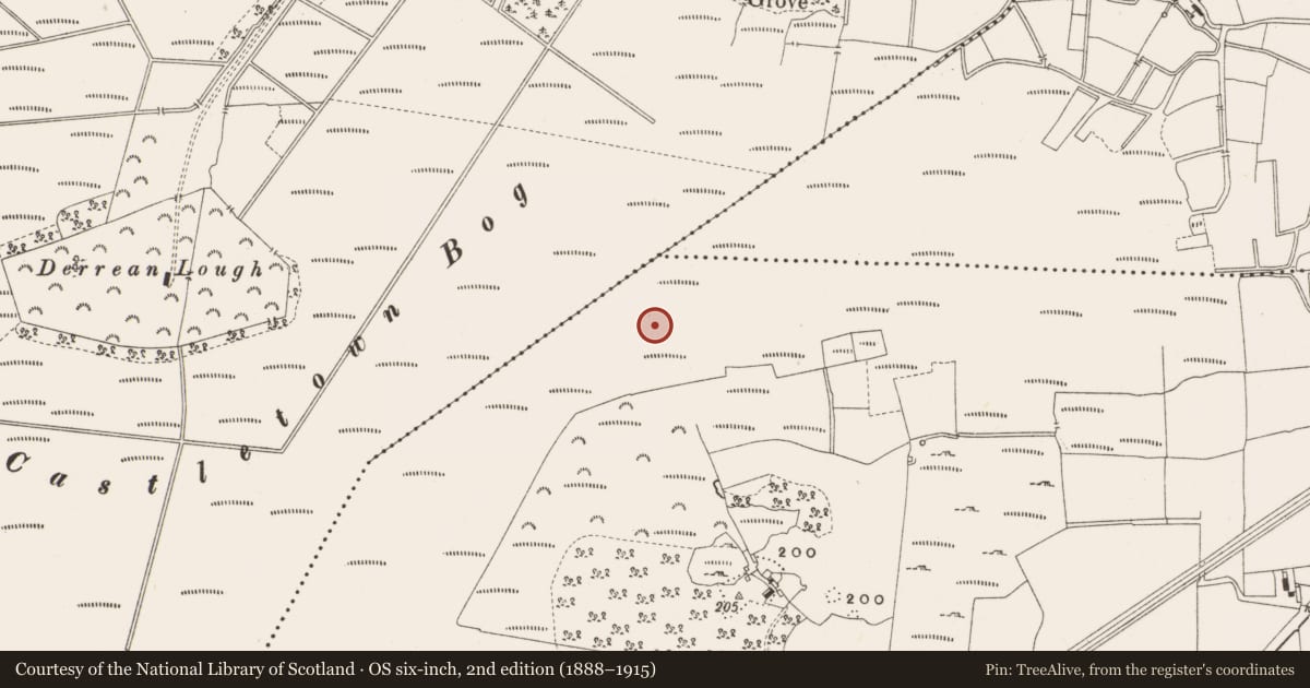 Ordnance Survey six-inch map, 2nd edition (1888–1915) covering the location of Road - class 3 togher, Leabeg, County Offaly, with a pin at the register's coordinates