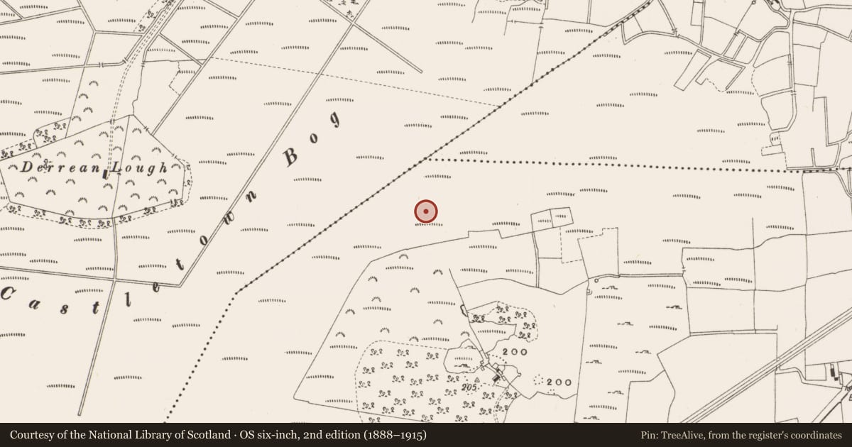 Ordnance Survey six-inch map, 2nd edition (1888–1915) covering the location of Structure - peatland, Leabeg, County Offaly, with a pin at the register's coordinates