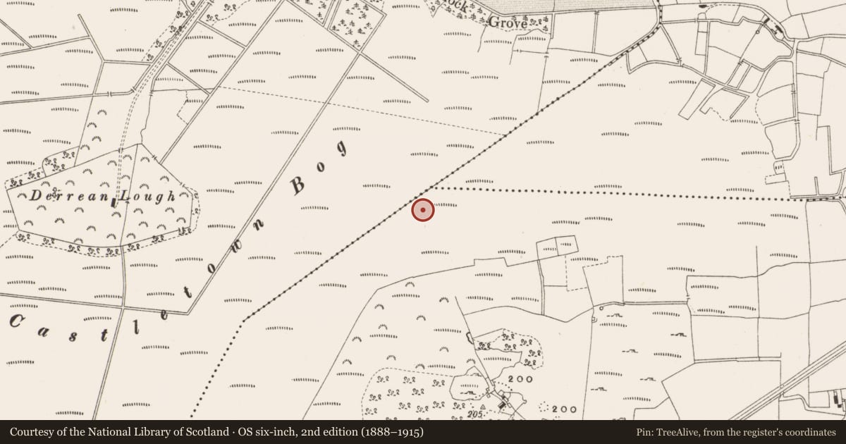 Ordnance Survey six-inch map, 2nd edition (1888–1915) covering the location of Road - class 2 togher, Leabeg, County Offaly, with a pin at the register's coordinates