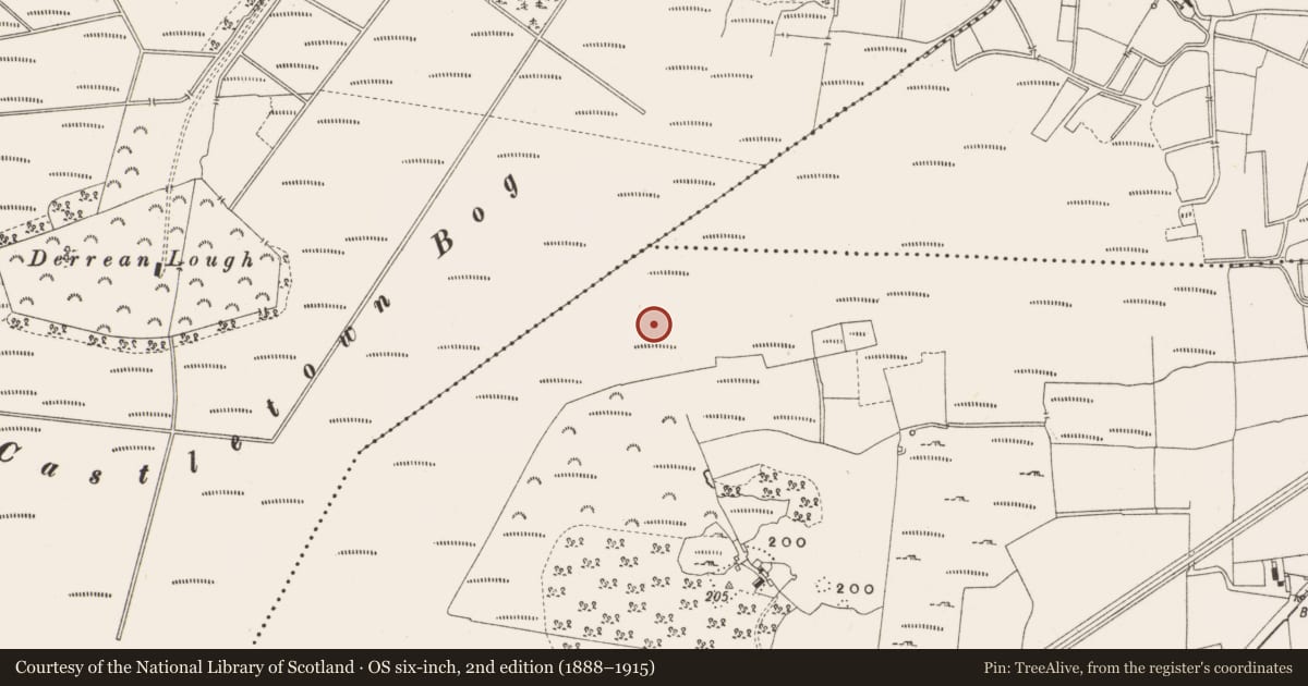 Ordnance Survey six-inch map, 2nd edition (1888–1915) covering the location of Structure - peatland, Leabeg, County Offaly, with a pin at the register's coordinates