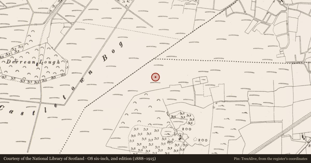 Ordnance Survey six-inch map, 2nd edition (1888–1915) covering the location of Structure - peatland, Leabeg, County Offaly, with a pin at the register's coordinates