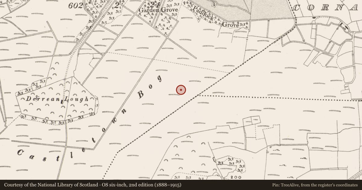 Ordnance Survey six-inch map, 2nd edition (1888–1915) covering the location of Structure - peatland, Castlearmstrong, County Offaly, with a pin at the register's coordinates
