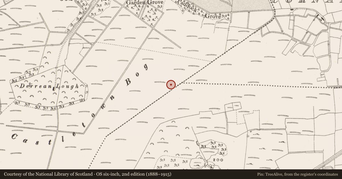 Ordnance Survey six-inch map, 2nd edition (1888–1915) covering the location of Structure - peatland, Castlearmstrong, County Offaly, with a pin at the register's coordinates