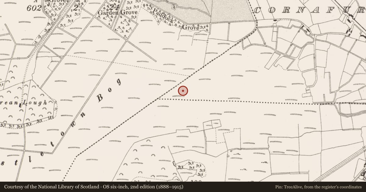 Ordnance Survey six-inch map, 2nd edition (1888–1915) covering the location of Road - class 1 togher, Cornafurrish And Corrabeg, County Offaly, with a pin at the register's coordinates