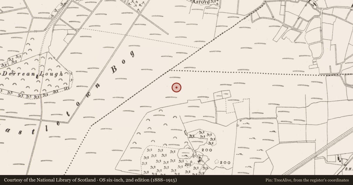 Ordnance Survey six-inch map, 2nd edition (1888–1915) covering the location of Structure - peatland, Leabeg, County Offaly, with a pin at the register's coordinates