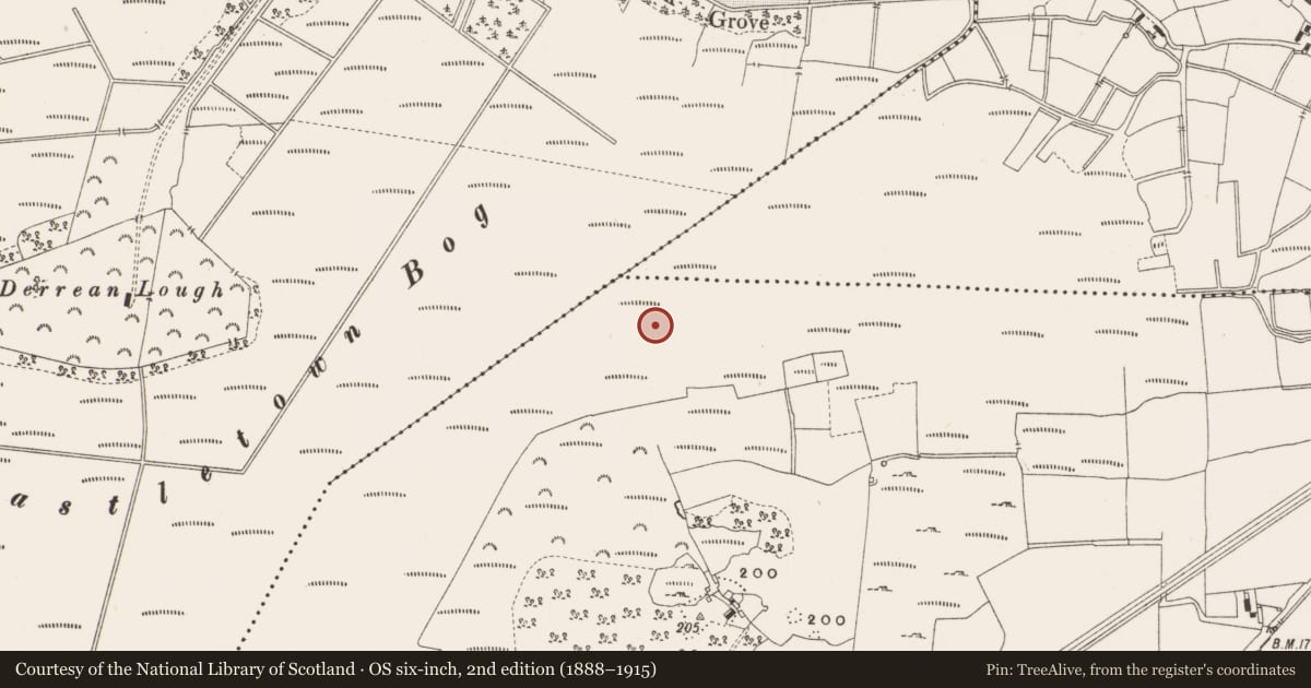 Ordnance Survey six-inch map, 2nd edition (1888–1915) covering the location of Structure - peatland, Leabeg, County Offaly, with a pin at the register's coordinates