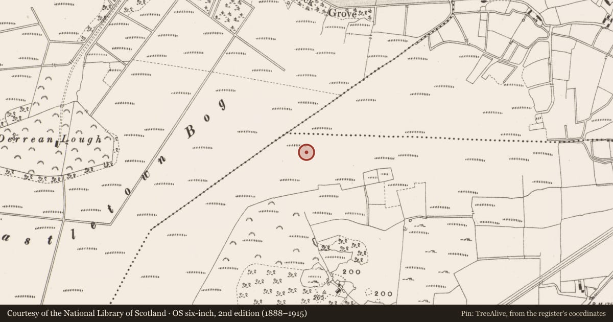 Ordnance Survey six-inch map, 2nd edition (1888–1915) covering the location of Structure - peatland, Leabeg, County Offaly, with a pin at the register's coordinates