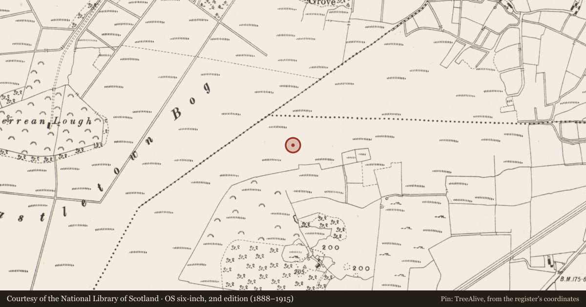 Ordnance Survey six-inch map, 2nd edition (1888–1915) covering the location of Structure - peatland, Leabeg, County Offaly, with a pin at the register's coordinates