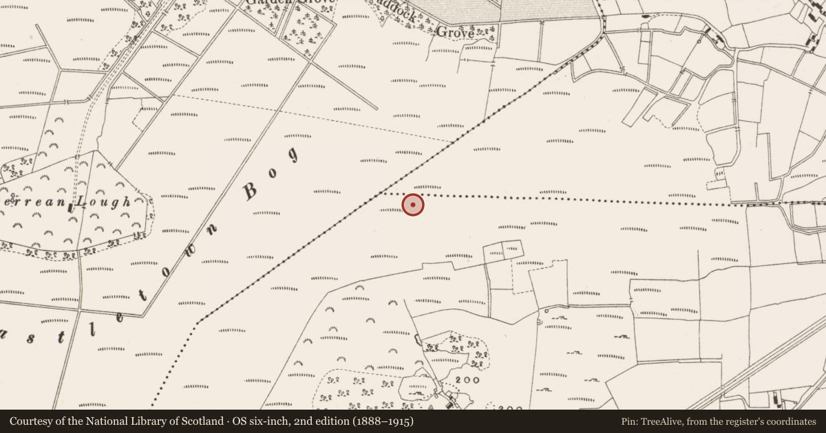Ordnance Survey six-inch map, 2nd edition (1888–1915) covering the location of Structure - peatland, Leabeg, County Offaly, with a pin at the register's coordinates