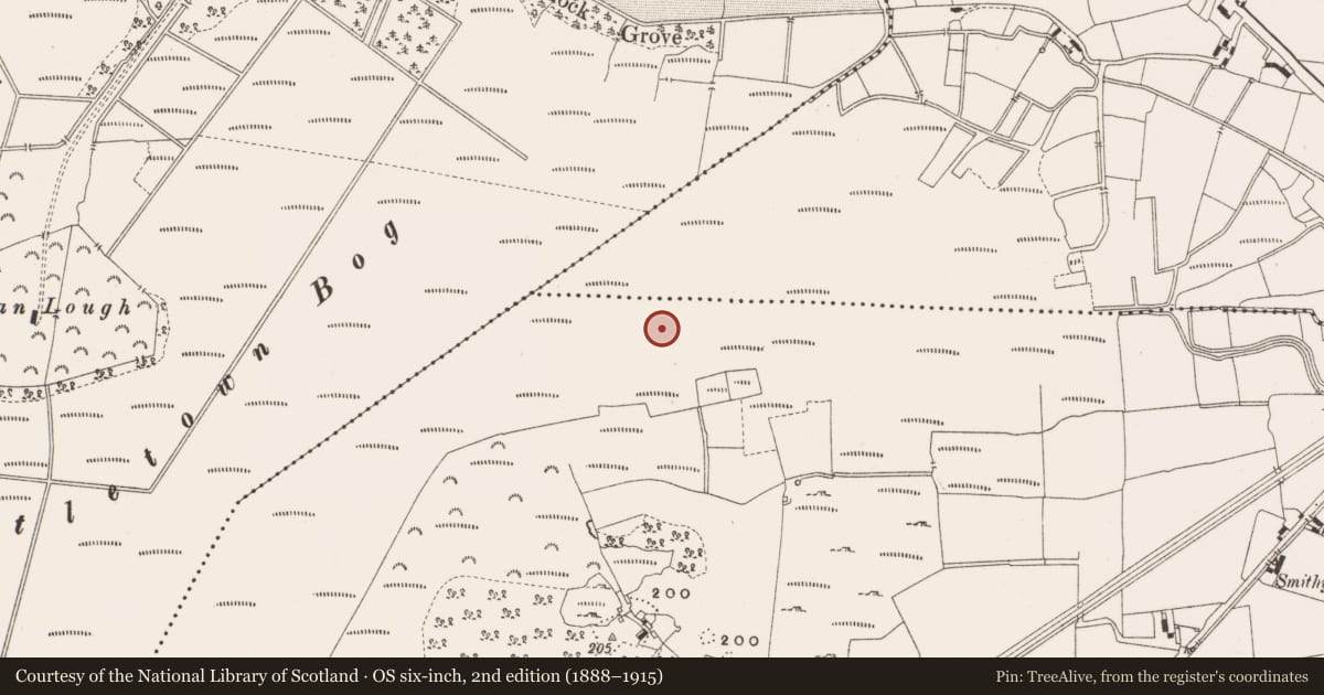 Ordnance Survey six-inch map, 2nd edition (1888–1915) covering the location of Structure - peatland, Leabeg, County Offaly, with a pin at the register's coordinates