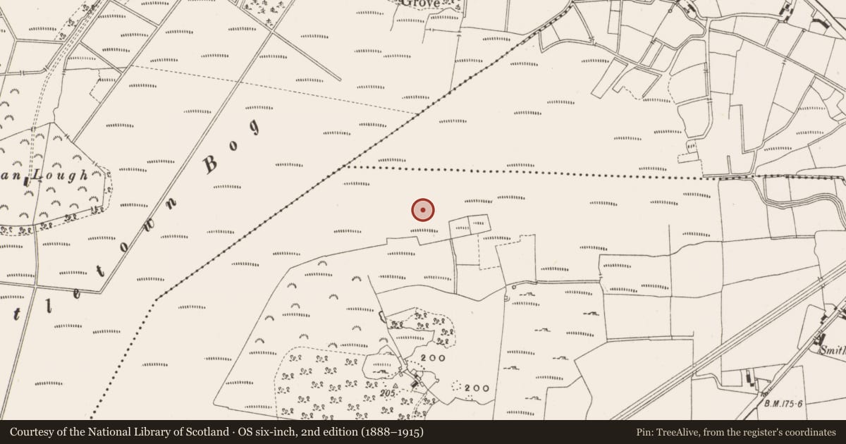 Ordnance Survey six-inch map, 2nd edition (1888–1915) covering the location of Structure - peatland, Leabeg, County Offaly, with a pin at the register's coordinates