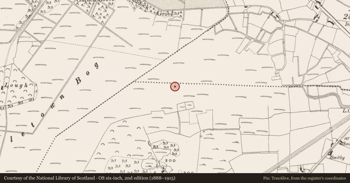 Ordnance Survey six-inch map, 2nd edition (1888–1915) covering the location of Structure - peatland, Leabeg, County Offaly, with a pin at the register's coordinates