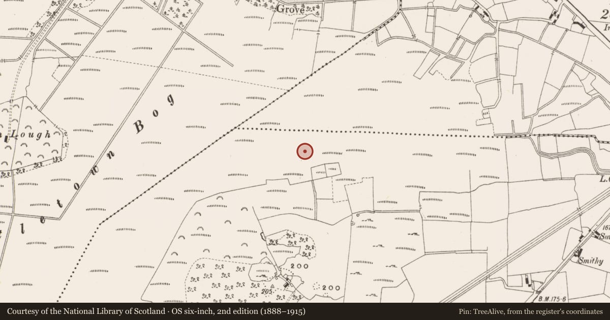 Ordnance Survey six-inch map, 2nd edition (1888–1915) covering the location of Structure - peatland, Leabeg, County Offaly, with a pin at the register's coordinates