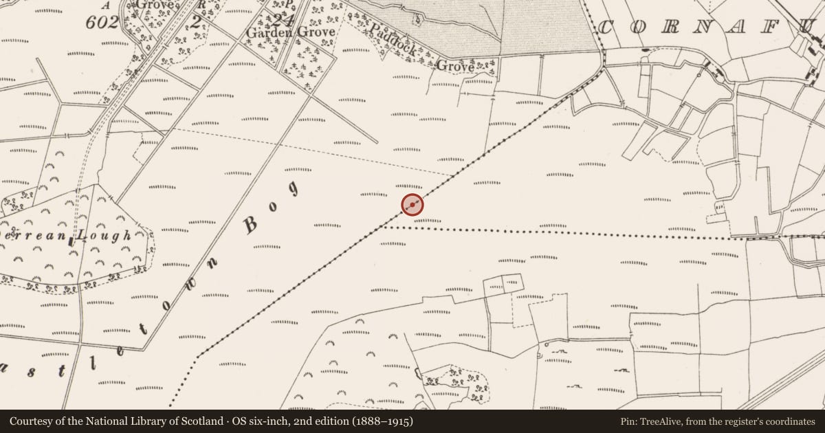 Ordnance Survey six-inch map, 2nd edition (1888–1915) covering the location of Structure - peatland, Castlearmstrong, Cornafurrish And Corrabeg, County Offaly, with a pin at the register's coordinates