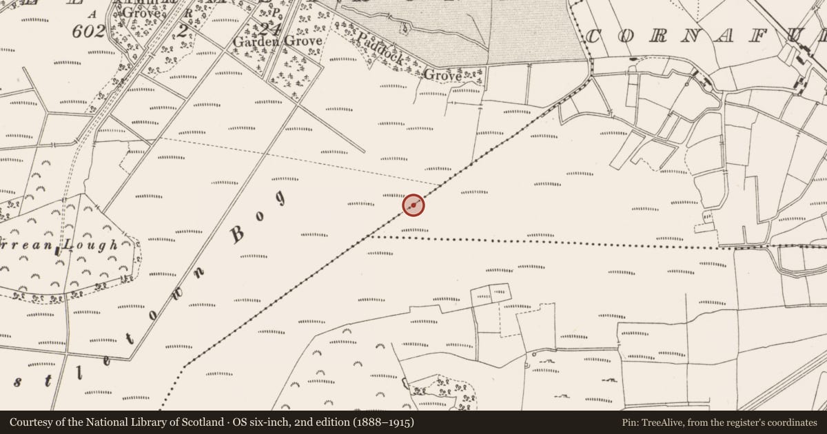 Ordnance Survey six-inch map, 2nd edition (1888–1915) covering the location of Structure - peatland, Castlearmstrong, Cornafurrish And Corrabeg, County Offaly, with a pin at the register's coordinates