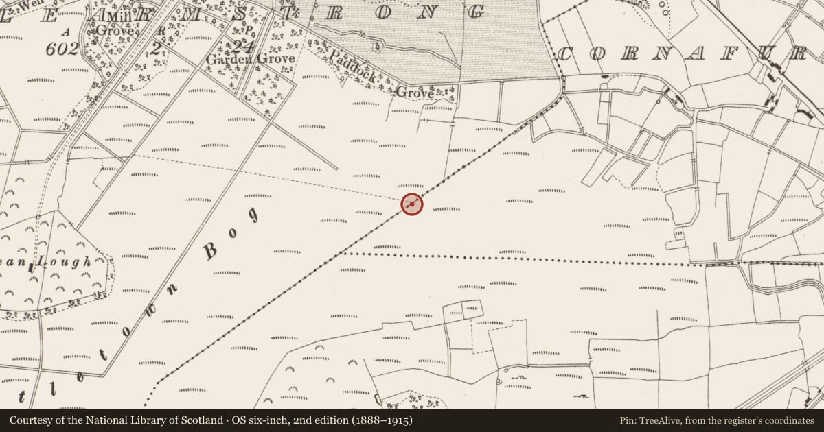 Ordnance Survey six-inch map, 2nd edition (1888–1915) covering the location of Structure - peatland, Castlearmstrong, Cornafurrish And Corrabeg, County Offaly, with a pin at the register's coordinates