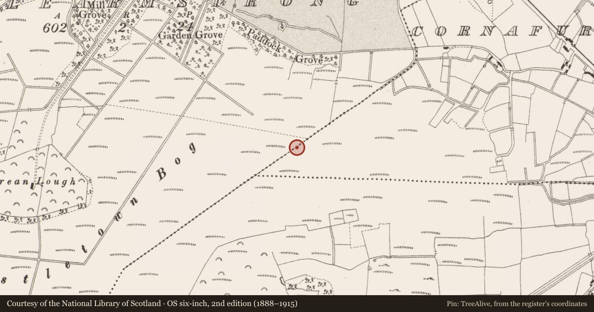 Ordnance Survey six-inch map, 2nd edition (1888–1915) covering the location of Structure - peatland, Castlearmstrong, Cornafurrish And Corrabeg, County Offaly, with a pin at the register's coordinates