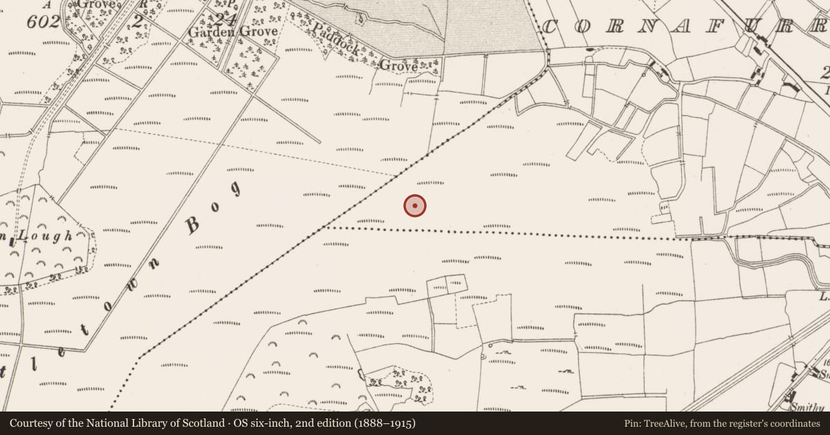 Ordnance Survey six-inch map, 2nd edition (1888–1915) covering the location of Structure - peatland, Cornafurrish And Corrabeg, County Offaly, with a pin at the register's coordinates