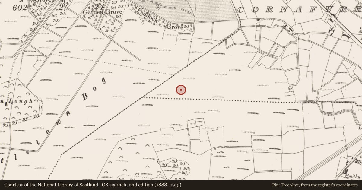 Ordnance Survey six-inch map, 2nd edition (1888–1915) covering the location of Structure - peatland, Cornafurrish And Corrabeg, County Offaly, with a pin at the register's coordinates