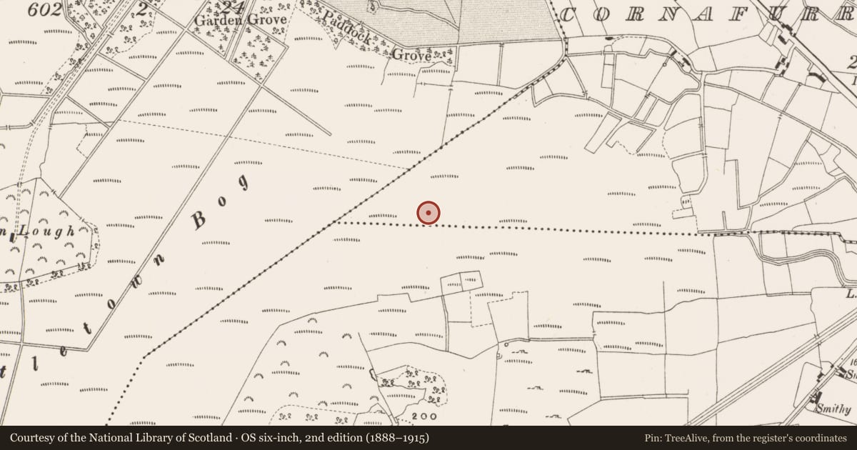 Ordnance Survey six-inch map, 2nd edition (1888–1915) covering the location of Structure - peatland, Cornafurrish And Corrabeg, County Offaly, with a pin at the register's coordinates