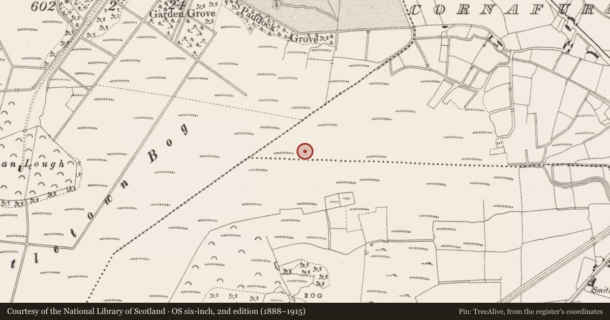 Ordnance Survey six-inch map, 2nd edition (1888–1915) covering the location of Structure - peatland, Cornafurrish And Corrabeg, County Offaly, with a pin at the register's coordinates