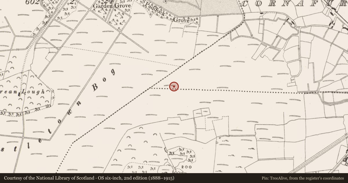 Ordnance Survey six-inch map, 2nd edition (1888–1915) covering the location of Structure - peatland, Cornafurrish And Corrabeg, County Offaly, with a pin at the register's coordinates