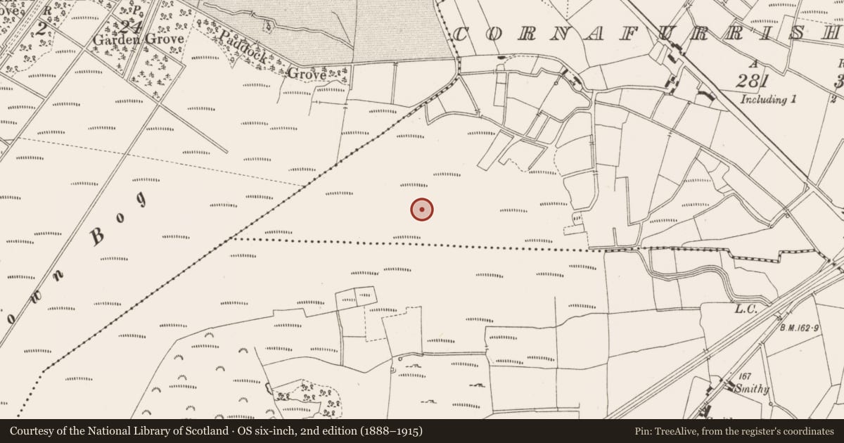 Ordnance Survey six-inch map, 2nd edition (1888–1915) covering the location of Structure - peatland, Cornafurrish And Corrabeg, County Offaly, with a pin at the register's coordinates