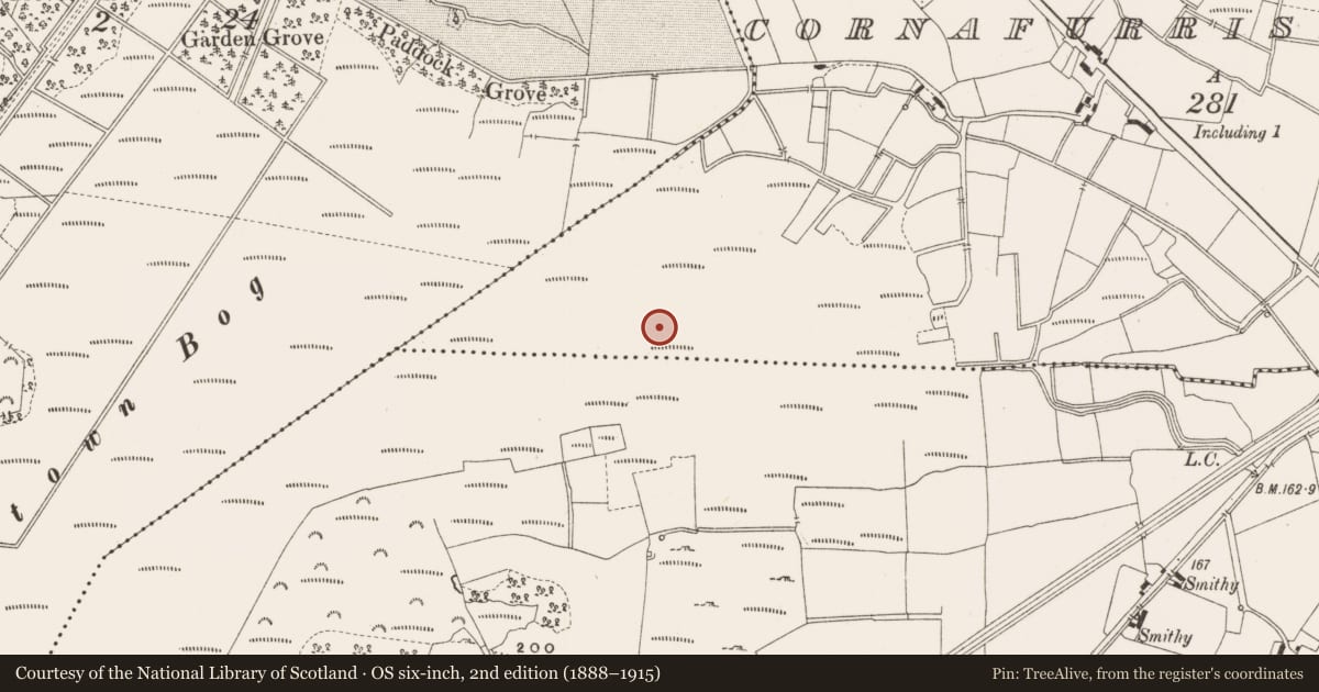 Ordnance Survey six-inch map, 2nd edition (1888–1915) covering the location of Structure - peatland, Cornafurrish And Corrabeg, County Offaly, with a pin at the register's coordinates