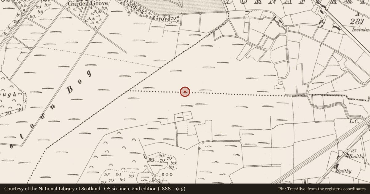 Ordnance Survey six-inch map, 2nd edition (1888–1915) covering the location of Structure - peatland, Cornafurrish And Corrabeg, Leabeg, County Offaly, with a pin at the register's coordinates