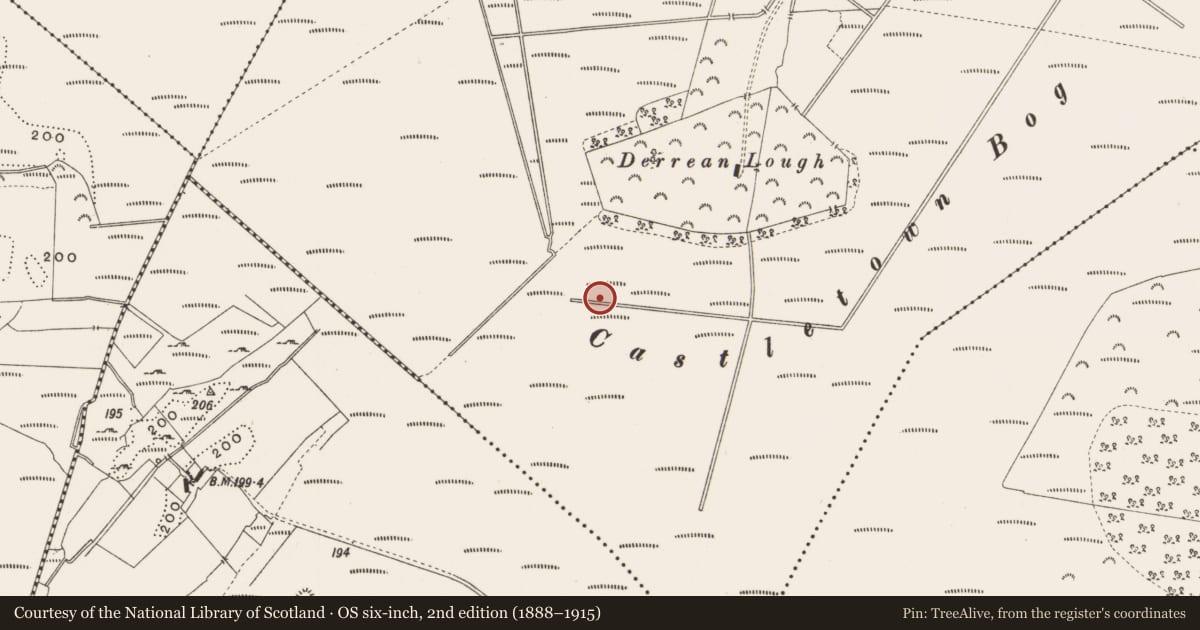 Ordnance Survey six-inch map, 2nd edition (1888–1915) covering the location of Structure - peatland, Castlearmstrong, County Offaly, with a pin at the register's coordinates