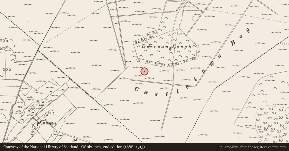 Ordnance Survey six-inch map, 2nd edition (1888–1915) covering the location of Road - class 3 togher, Castlearmstrong, County Offaly, with a pin at the register's coordinates